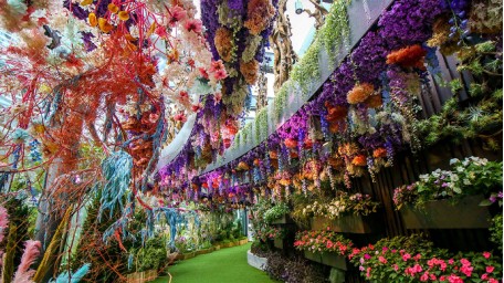 滨海湾花园  奇幻花园 Floral Fantasy 成人票 Adult 花语秘境 