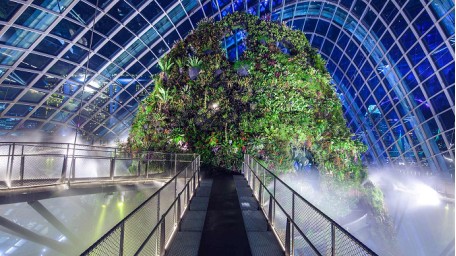 5.29 滨海湾花园 双馆门票成人票  花穹冷室&云雾林-成人票 Flower Dome + Cloud Forest - Adult 扫码入园  