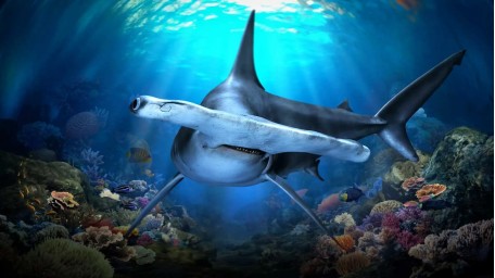 PEAK 新加坡海洋生态馆 成人票 Singapore Oceanarium [SGO] Adult 电子门票 WEEKEND 