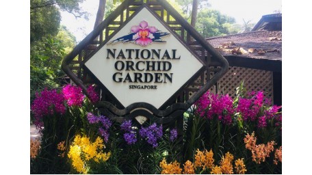新加坡植物园国家胡姬花园门票 National Orchid Garden 成人票 Adult (Open)兰花园 