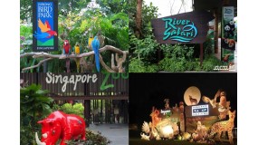 Mandai OPEN DAY 门票预定时间链接 For Zoo，Bird Park，Night Safari, River Wonders