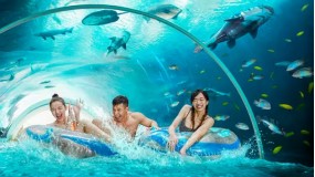 【水上探险乐园】 儿童票 Adventure Cove Waterpark - Child 电子票 