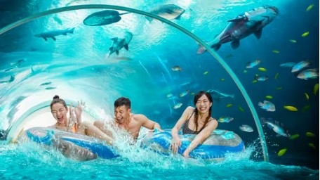 【水上探险乐园】 儿童票 Adventure Cove Waterpark - Child 电子票  